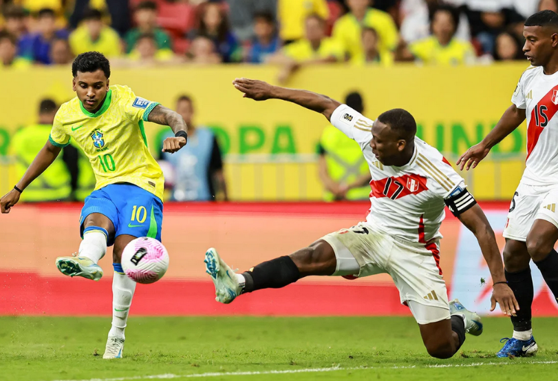 他们似乎遇 他们似乎遇