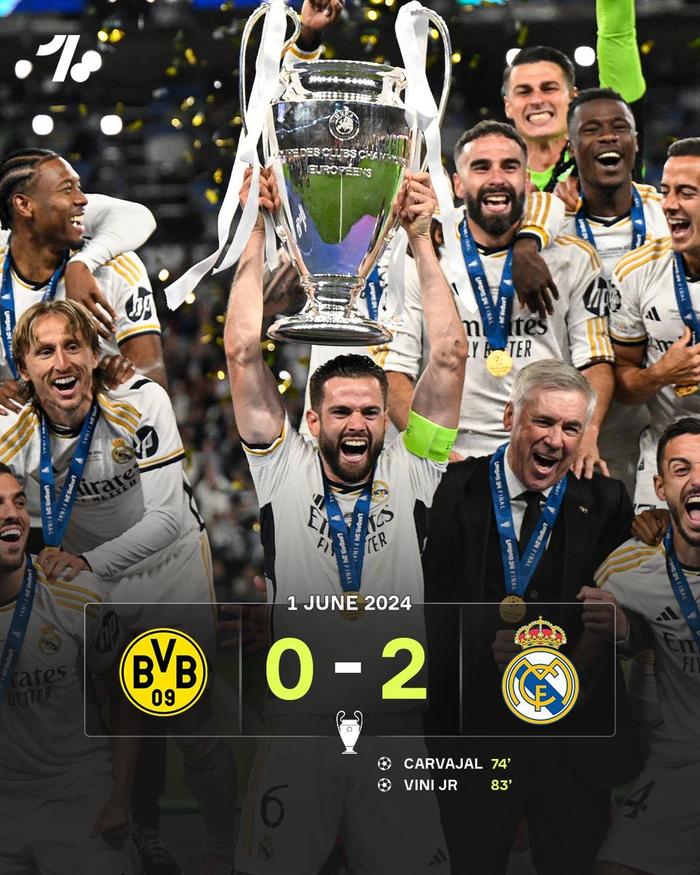 他们采用 他们采用